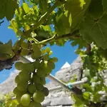 I Trulli Di Nonno Giovanni Εξοχικό σπίτι