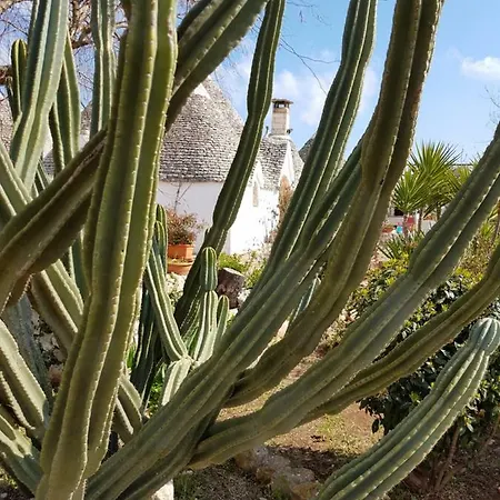 I Trulli Di Nonno Giovanni Летний дом *