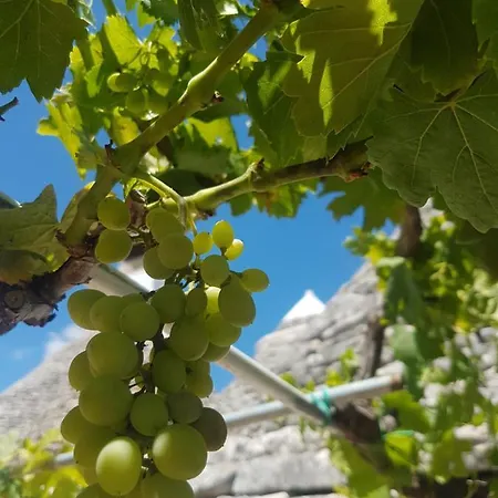 I Trulli Di Nonno Giovanni בית כפרי
