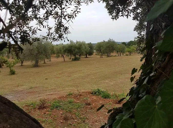 I Trulli Di Nonno Giovanni