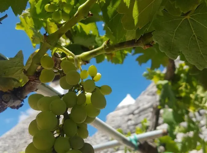 I Trulli Di Nonno Giovanni 乡村民宿